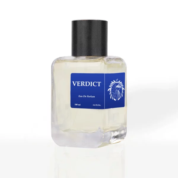 VERDICT